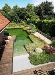 25 Wunderschon Naturliche Teich Swimmingpool Design Ideen Poolideen Schwimmbad Ideen Homedecor Garten In 2020 Pool Landscaping Natural Pond Backyard Landscaping