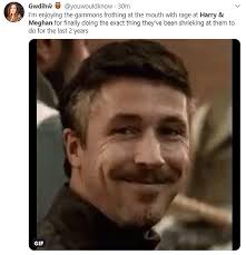 ♥️first created fanpage for harry&meghan dm's open 🕊 fan acc by francesca ★ archewell ★ archewell.com. Meghan Markle And Prince Harry Social Media Memes Abound Daily Mail Online