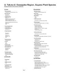 Image result for Buchnera longispicata