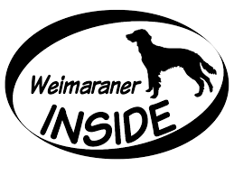 Weimaraner langhaar | weimaraner dogs, weimaraner, hunter dog. Inside Aufkleber Weimaraner Langhaar 1 Tierisch Tolle Geschenke