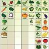 Here's a fall planting guide to help you decide what to plant in the fall vegetable garden with tips on succession gardening and the last planting dates for fall crops, from the old farmer's almanac. 3