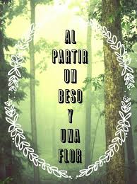 Un Beso Y Una Flor Nino Bravo I Love This Song Besos Literatura Citas Citas