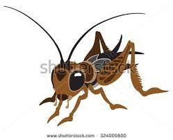 Cartoon Cricket Bug Cricket Bug Cartoon Cartoons Vector