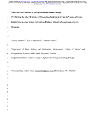 Image result for Pouteria adolfi-friederici