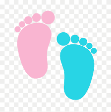 Genero Del Bebe Png Imagenes Pngwing