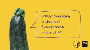Check spelling or type a new query. How Gmos Are Regulated For Food And Plant Safety In The United States Fda