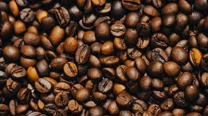 Image result for Coffea schliebenii