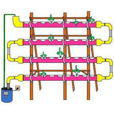 Hidroponik system nft dan dft hidroponik, dft nft & rakit apung sangat populer dan hasil sistem yg sy buat untuk aquponik adalah sistem dft. Metode Menciptakan Rak Hidroponik Pipa System Dft Nft Modifikasi Sumber Plastik