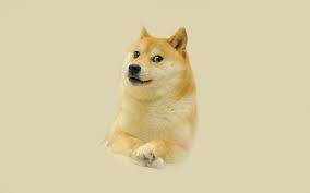Archived 6 dec 2020 20:40:42 utc. Doge 1080p Wallpaper Hdwallpaper Desktop In 2020 Doge Doge Meme Wallpaper