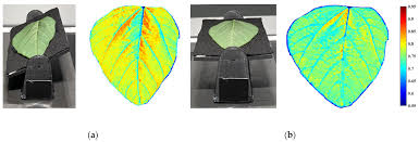 Elimination of Leaf Angle Impacts on Plant Reflectance Spectra Using Fusion  of Hyperspectral Images and 3D Point Clouds