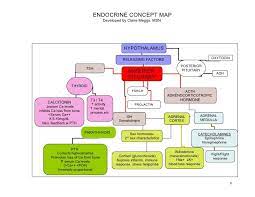 Pin On Pharmacotherapy Mind Maps