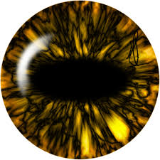 Realistic Eye Sage Mode By Moudz13 On Deviantart How to emblem in advanced warfare: realistic eye sage mode by moudz13 on