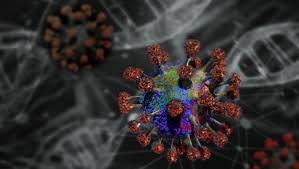 Quali sono le caratteristiche della variante b.1.1.529? Coronavirus Una Nuova Variante Scoperta A Milano La Repubblica