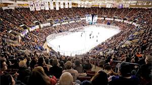South carolina stingrays statistics and history. Homepage