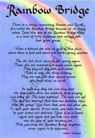 When a beloved pet dies. Amazon Com Rainbow Bridge Dog Memorial Wall Decor Poem Pet Saying Bereavement Keepsake Gift Home Amp Rainbow Bridge Poem Rainbow Bridge Dog Rainbow Bridge