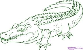 How To Draw A Crocodile Step 5 1 000000005853 5 Jpg 1070 652 Easy Drawings Crocodile Tattoo Crocodile