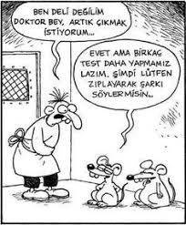 Kafa Giderse Hersey Gider Karikatur Komik Mizah