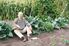 Mix It Up Homemade Organic Fertilizer Recipe Organic Gardening Tips Organic Fertilizer For Vegetables Food Garden