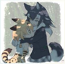 11 Anime Wolf Human Hybrid Anime Wolf Anime Cute Anime Character