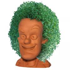 Which one is the best chia pet ? : r/PollsAndSurveys