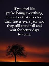 39 Motivational Quotes For Work Success Words Of Encouragement 20 Work Motivational Quotes Success Words Encouragement Quotes