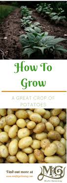 We did not find results for: How To Grow Potatoes Misfit Gardening