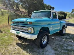 Image result for Blue 1960 Petit Truck