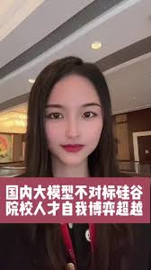 国内大模型不对标硅谷#科技#财经#AI #投资#金融| TikTok