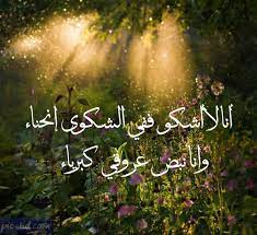 صور كبرياء عبارات عن الكبرياء مكتوبة علي صور معبرة image pics motivation