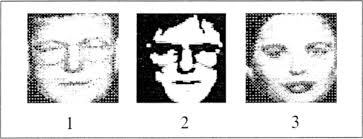 Examples of representation of human faces participating in the...