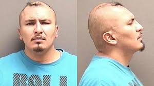 Court briefs: Bear faces new charge; man charged after That Bar fight; two  charged in connection with child rape; Havre man arrested