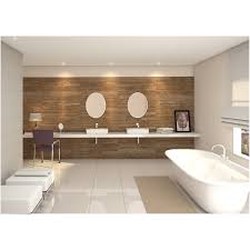 Porcelanato Interno Cor Unica Polido Borda Reta Diamante Alpes 60x60cm Portinari Leroy Merlin