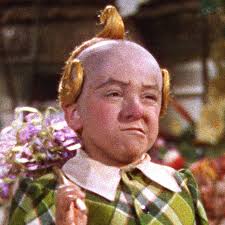 The land of oz is a magical country first introduced in the 1900 children's novel the wonderful wizard of oz written by l. The Wizard Of Oz The Last Munchkin And The Little People Left Behind The New Yorker