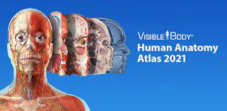 Download human anatomy atlas 2019 complete 3d human body 0.30 apk + mod + data free for android mobiles, smart phones. Atlas De Anatomia Humana 2021 El Cuerpo En 3d Full 2021 2 27 Apk Para Android Datos Apk S