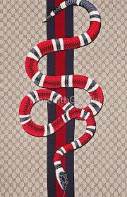 A collection of the top 56 gucci wallpapers and backgrounds available for download for free. 96 Gucci Snake Wallpaper On Wallpapersafari