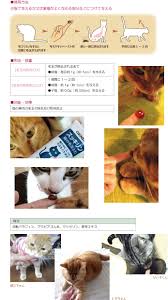 ペット用品｜Ｇストア