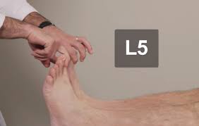 Image result for Low Back Standing Exam