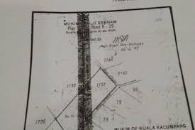 A tree in tanjung malim: Tanjung Malim Archives Ejen Hartanah Tanah Untuk Dijual Rumah Untuk Dijual Jual Rumah Jual Tanah Ejen Tanah Di Cheras Ampang Kajang Bangi Semenyih Hulu Langat Petaling Jaya Usj Subang