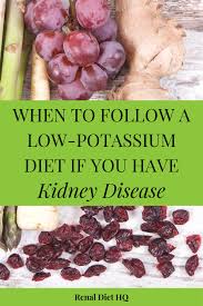 See more ideas about kidney friendly foods, renal diet, renal diet recipes. A Low Potassium Menu For When Levels Are High Renal Diet Hq Kidney Friendly Recipes Renal Diet Potassium Foods Kidney Disease Diet Recipes