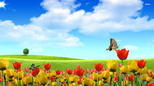 Palm beach wholesale flowers, inc. Glamour Flowers West Palm Beach Retail Florist