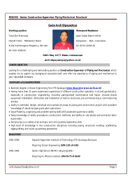 resume gede andi construction piping