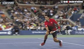 While novak djokovic expressed his regret online on his disqualification from us open 2020, fans on twitter were harsher on the serbian star. Djokovic Crazo Volley Court Volley Sports