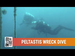 Ever since we've first opened our doors, we've been committed to providing quality diver training according to the padi program, as well as introducing divers to our chunk of the underwater world. Scuba Diving In Peltastis Wreck Croatia Dive Site Divebooker Com