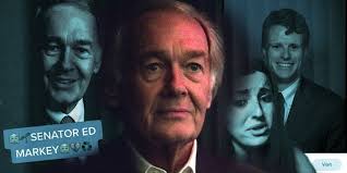 Articles by Libby Cohen