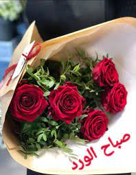 صباح النور وعطر الزهور بالصور. ØµØ¨Ø§Ø­ Ø§Ù„ÙˆØ±Ø¯ ØµØ¨Ø§Ø­ Ø§Ù„ÙÙ„ Ø¹Ø¨Ø§Ø±Ø§Øª ÙˆØµÙˆØ±