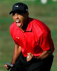 2012 Is The Year Celebrity Divorce Tiger Woods Hole In One