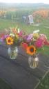 Field To Vase U-Pick Flowers - THE ORIGINAL U-Pick flower farm in ...