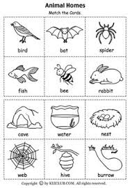 Pin By Tricia Stohr Hunt On Animals Preschool Science Kindergarten Science Kindergarten Lesson Plans