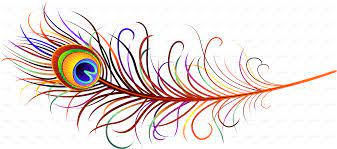 Peacock Feather Png Transparent Images Png All Feather Illustration Peacock Feather Art Feather Background