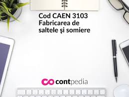 Contabil si internaut in acelasi timp, dar si proprietar de blog pe aceeasi tema. Calitate BunÄ Vanzare Statele Unite Online Produse De Calitate Cod Caen Productie Saltele Reducerioferteturism Ro